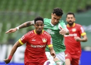 开云体育-云达不莱梅主场胜利唤醒雄心的简单介绍