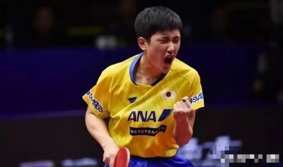 日本乒乓球队完胜中国乒乓球队，许昕绝境逆转的简单介绍