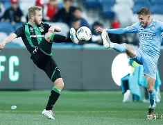 包含悉尼FC在亚冠比赛中创纪录得分的词条