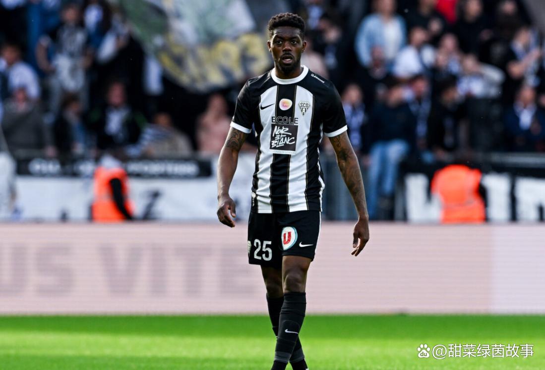 阿尔勒失利，法甲保级形势越发严峻的简单介绍