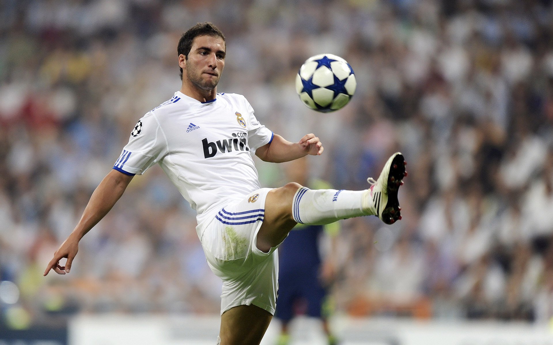 雷霆之巅,塔图姆关键一击定江山,国王巅峰对决见证新王诞生